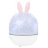 Астропланетарий Levenhuk LabZZ Star Sky P1