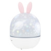 Астропланетарий Levenhuk LabZZ Star Sky P1