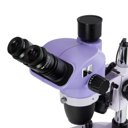 Микроскоп стереоскопический цифровой MAGUS Stereo D8T PLUS