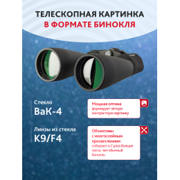 Набор: бинокль Levenhuk Bruno BASE 15x70 со штативом