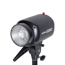 Комплект студийного оборудования Godox E250-D