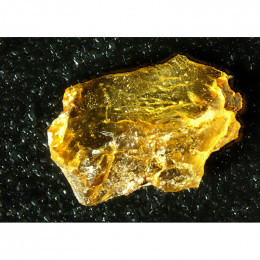 Микроскоп Delta Optical BioLight 100 (синий)