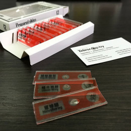 Насекомые (№1) — набор образцов для микроскопа (12 шт)