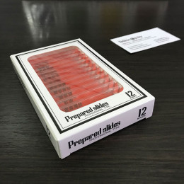 Насекомые (№1) — набор образцов для микроскопа (12 шт)