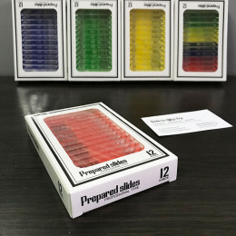 Насекомые (№1) — набор образцов для микроскопа (12 шт)