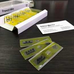 Цветы и фрукты (№3) — набор образцов для микроскопа (12 шт)