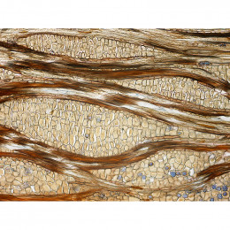 Микроскоп Delta Optical BioLight 500