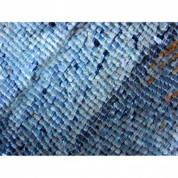 Микроскоп Delta Optical BioLight 500