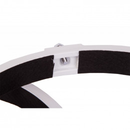 Кольца крепежные Sky-Watcher для рефлекторов 250 мм (внутренний диаметр 288 мм)