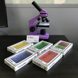 Зоология (№4) — набор образцов для микроскопа (12 шт)