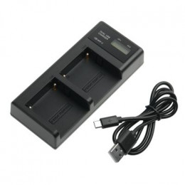 Зарядное устройство GreenBean DualCharger NPF-C
