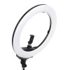 Осветитель кольцевой Falcon Eyes BeautyLight 480LS LED со стойкой