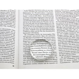 Лупа 6911 (диам.50мм, 4х, в подарочной красной коробке)