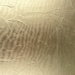 Отражатель Falcon Eyes CFR-22M HL