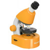 Микроскоп Levenhuk Discovery Micro Solar с книгой