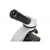 Микроскоп Levenhuk Discovery Nano Polar с книгой