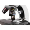 Микроскоп Levenhuk Discovery Nano Polar с книгой