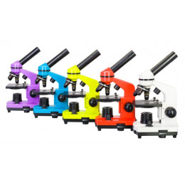 Микроскоп Levenhuk 2L Лунный камень