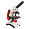 Микроскоп Levenhuk Discovery Pico Terra с книгой