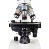 Микроскоп цифровой Levenhuk Discovery Atto Polar с книгой