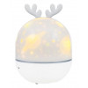 Астропланетарий Levenhuk LabZZ Star Sky P2