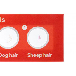 Набор микропрепаратов Levenhuk Discovery «Флора и фауна», 24 шт.