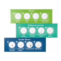 Набор микропрепаратов Levenhuk Discovery «Флора», 12 шт.