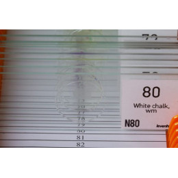 Набор микропрепаратов Levenhuk N80 NG «Увидеть все!»