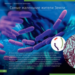 Книга знаний «Невидимый мир». Мягкая обложка