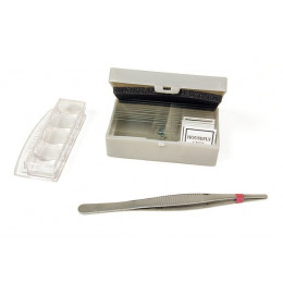 Микроскоп Levenhuk 3S NG (с набором для опытов)