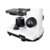 Микроскоп Levenhuk Rainbow D2L, 0,3 Мпикс, Moonstone\Лунный камень