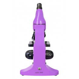 Микроскоп Levenhuk 50L Аметист (в кейсе)