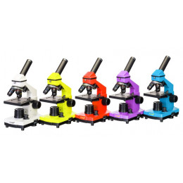 Микроскоп Levenhuk 2L PLUS (Аметист)