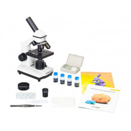 Микроскоп Levenhuk 2L PLUS (Лунный камень)