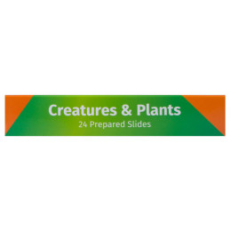 Набор микропрепаратов Levenhuk LabZZ CP24, существа и растения