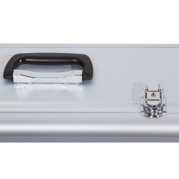 Кейс алюминиевый Sky-Watcher для монтировки EQ3