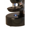 Микроскоп Levenhuk LabZZ M101 Moonstone\Лунный камень