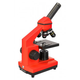 Микроскоп Levenhuk 2L PLUS (Апельсин)