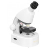 Микроскоп Levenhuk Discovery Micro Polar с книгой