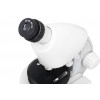Микроскоп Levenhuk Discovery Micro Polar с книгой