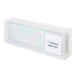 Набор микропрепаратов Levenhuk Discovery Prof DPS 5. «Жизнь в капле воды»