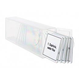 Набор микропрепаратов Levenhuk Discovery Prof DPS 5. «Жизнь в капле воды»