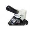 Микроскоп Levenhuk Discovery Atto Polar с книгой