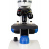 Микроскоп Levenhuk Discovery Pico Gravity с книгой