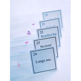 Набор для опытов с микроскопом Levenhuk K50