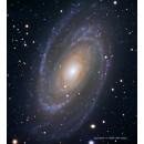 Телескоп Meade LX850 14″ ACF