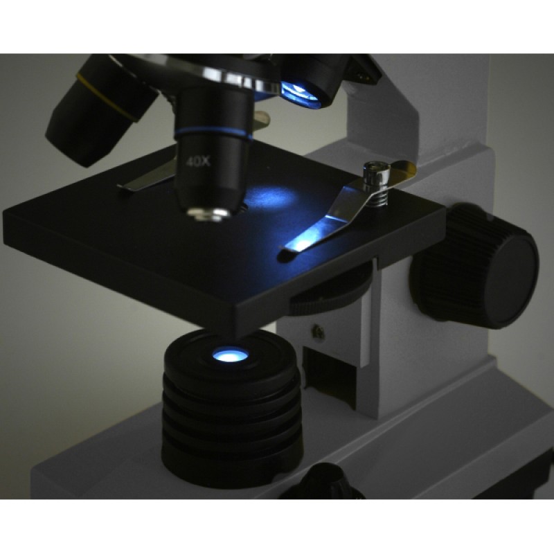 Зачем в микроскопах делают сменные объективы. Levenhuk микроскоп d2l ng. Микроскоп Levenhuk 50l ng. Микроскоп Levenhuk 2l/3l/d2l. 3) Микроскоп а. Левенгука.