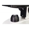 Микроскоп цифровой Levenhuk Discovery Femto Polar с книгой