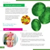 Микроскоп Levenhuk Discovery Micro Terra с книгой