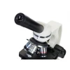 Микроскоп Levenhuk Discovery Atto Polar с книгой